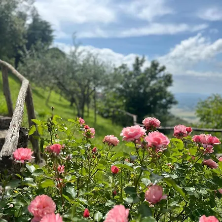 Casa Paradiso コルトーナ