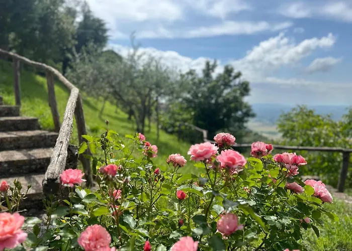 Casa Paradiso קורטונה